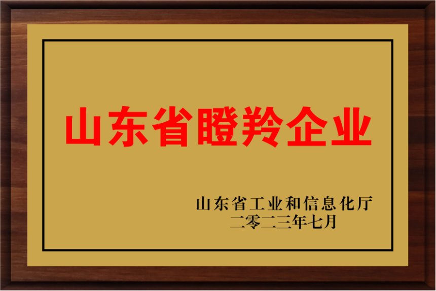 山東東岳汽車集團
