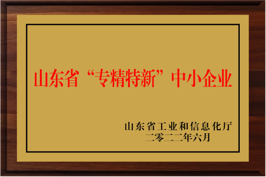 山東東岳汽車集團
