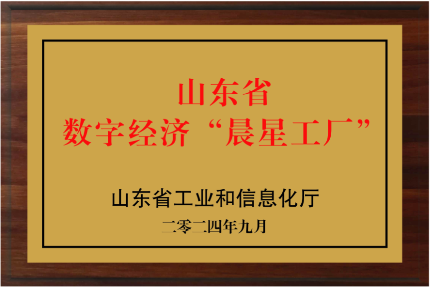 山東東岳汽車集團
